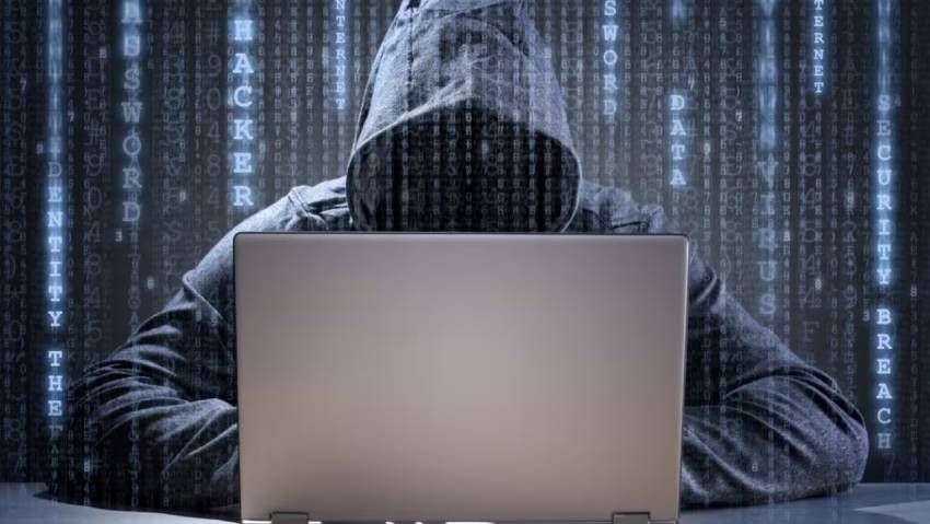 顺义区小程序定制开发：.NET的利刃与暗礁